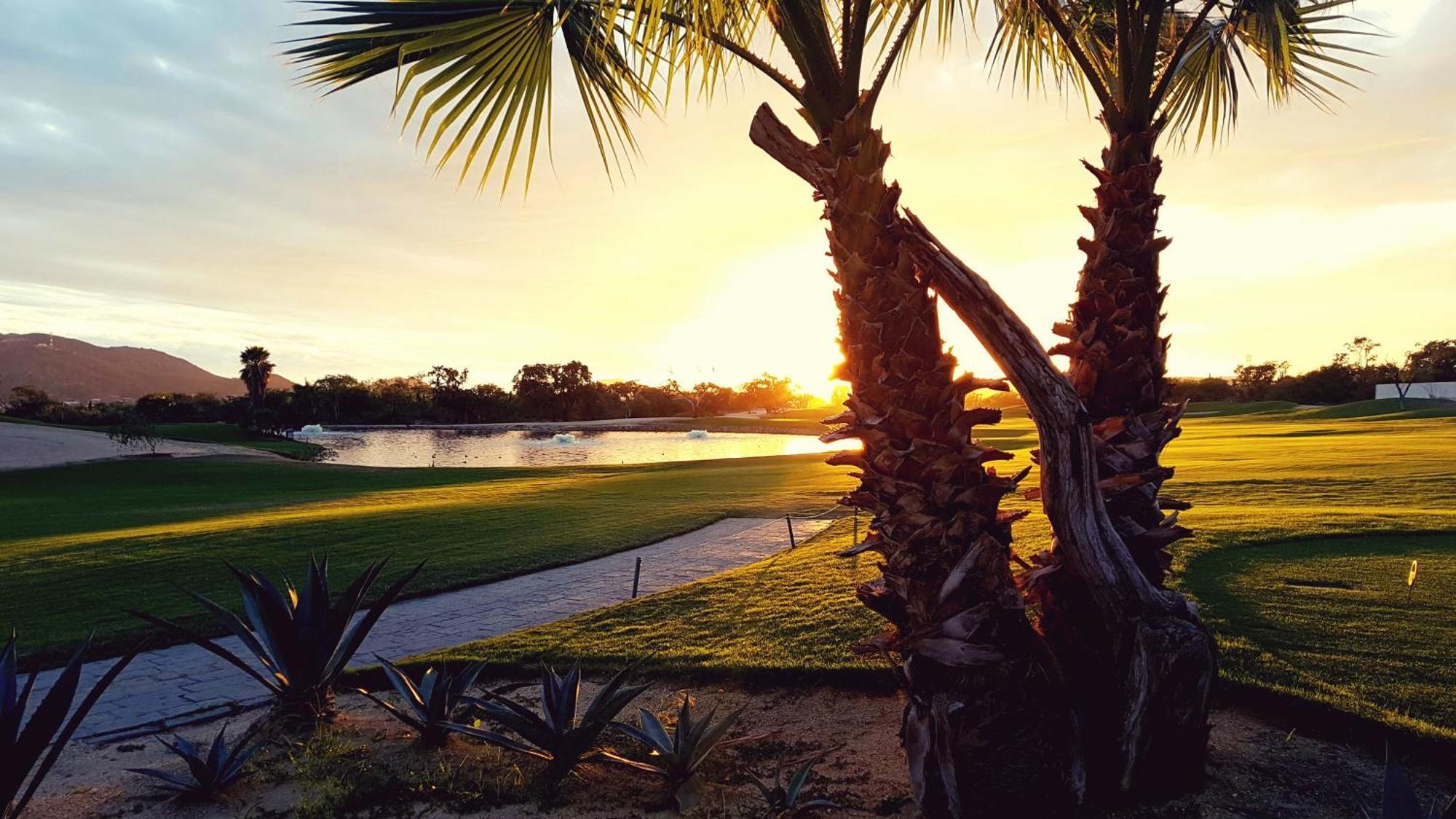 Los Cabos Golf Resort, Trademark Collection By Wyndham Кабо-Сан-Лукас Экстерьер фото